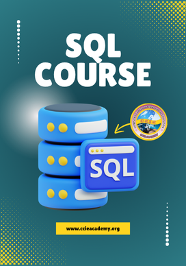 SQL course training with instructor teaching database queries